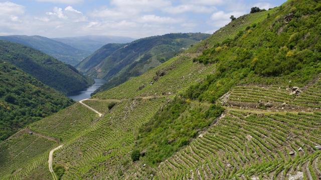 La Ribeira Sacra.