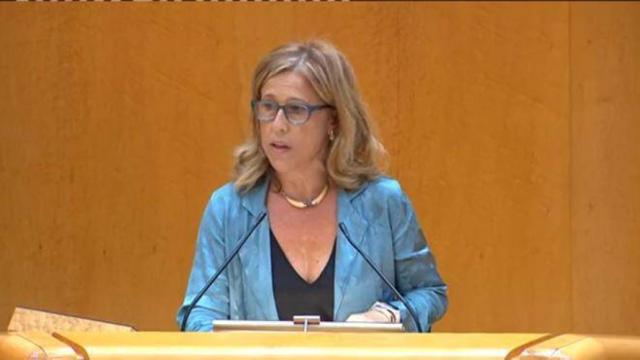 Pilar Alía en su intervención este miércoles en el Senado