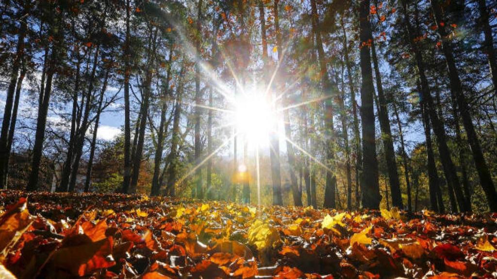 Otoño. Imagen de archivo