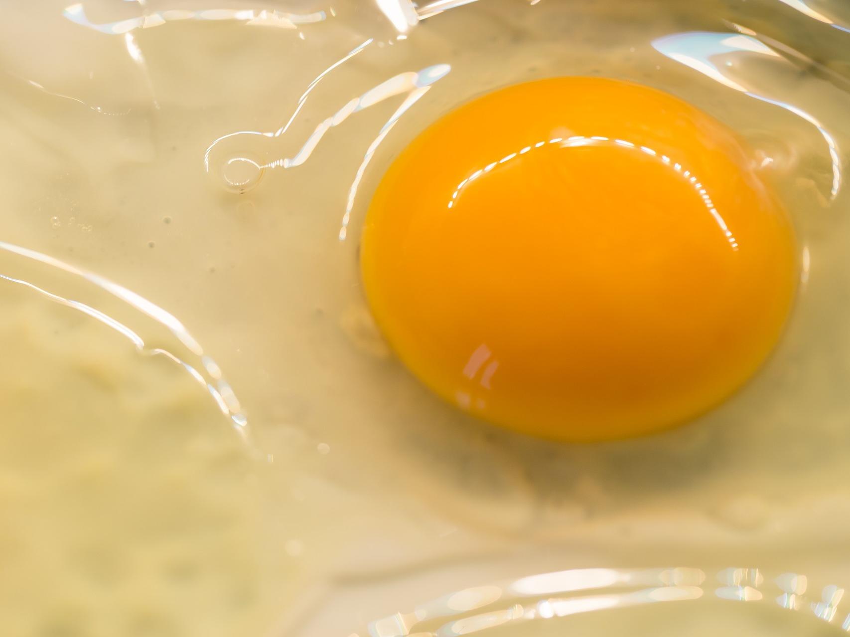 Los huevos ignorados en España que superan en proteínas a los de gallina y  en hierro a las lentejas