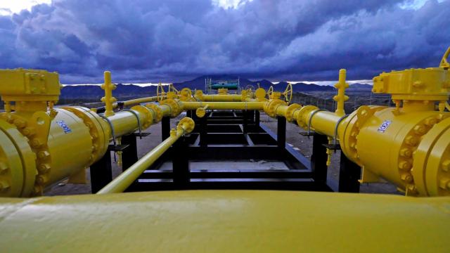 Cae un 25% la inversión en la industria mundial del gas arrastrada por la pandemia