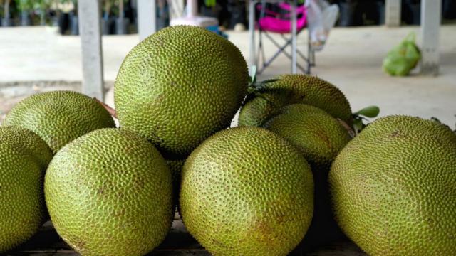 Unas frutas del pan.