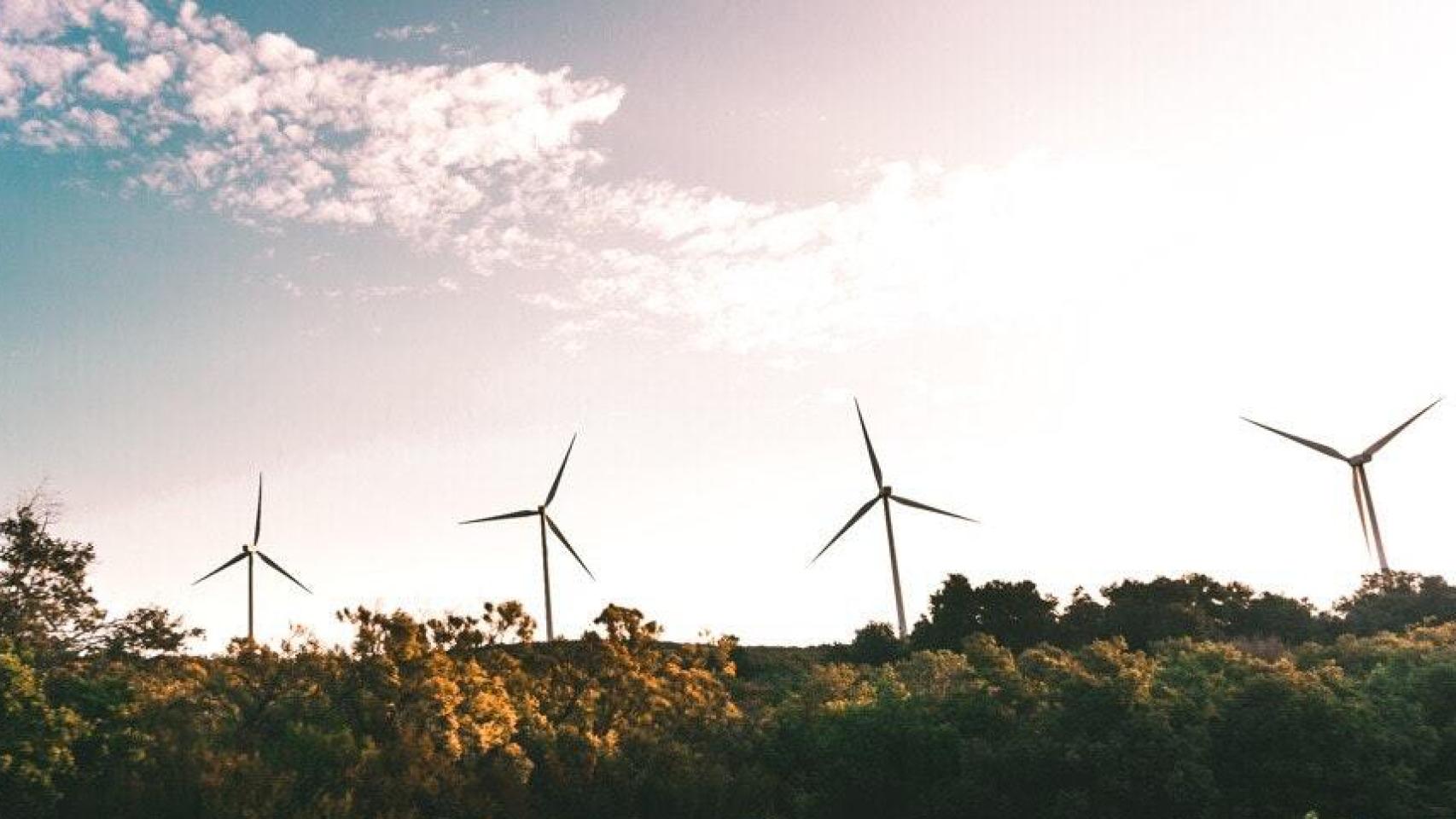 Parque de generación de energía eólica.