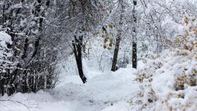 Galicia vive la primera nevada del otoño en Carballeda de Valdeorras (Ourense)