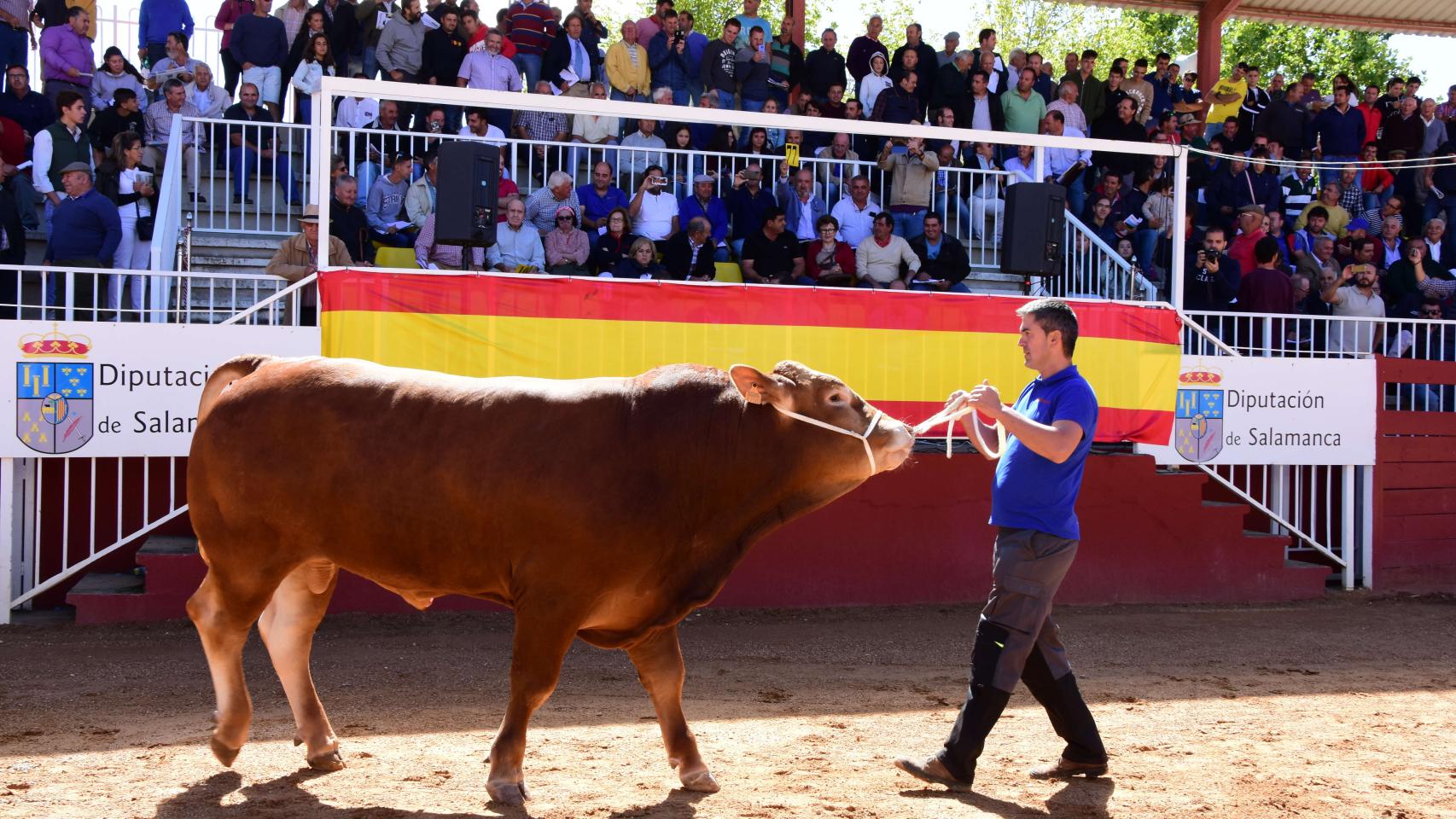 Castilla y León