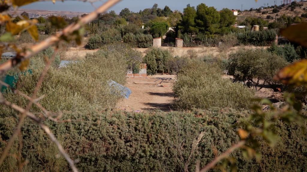 Zona en la que estaba situada el búnker en la finca