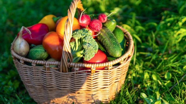 verduras hortalizas