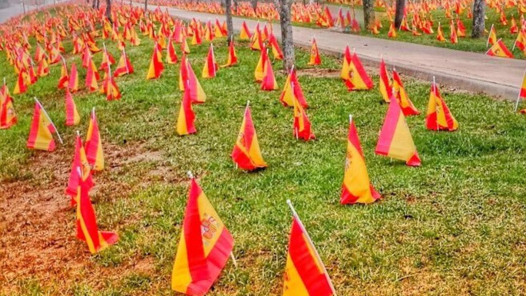 Banderas colocadas en Sevilla en recuerdo de las víctimas de la Covid.