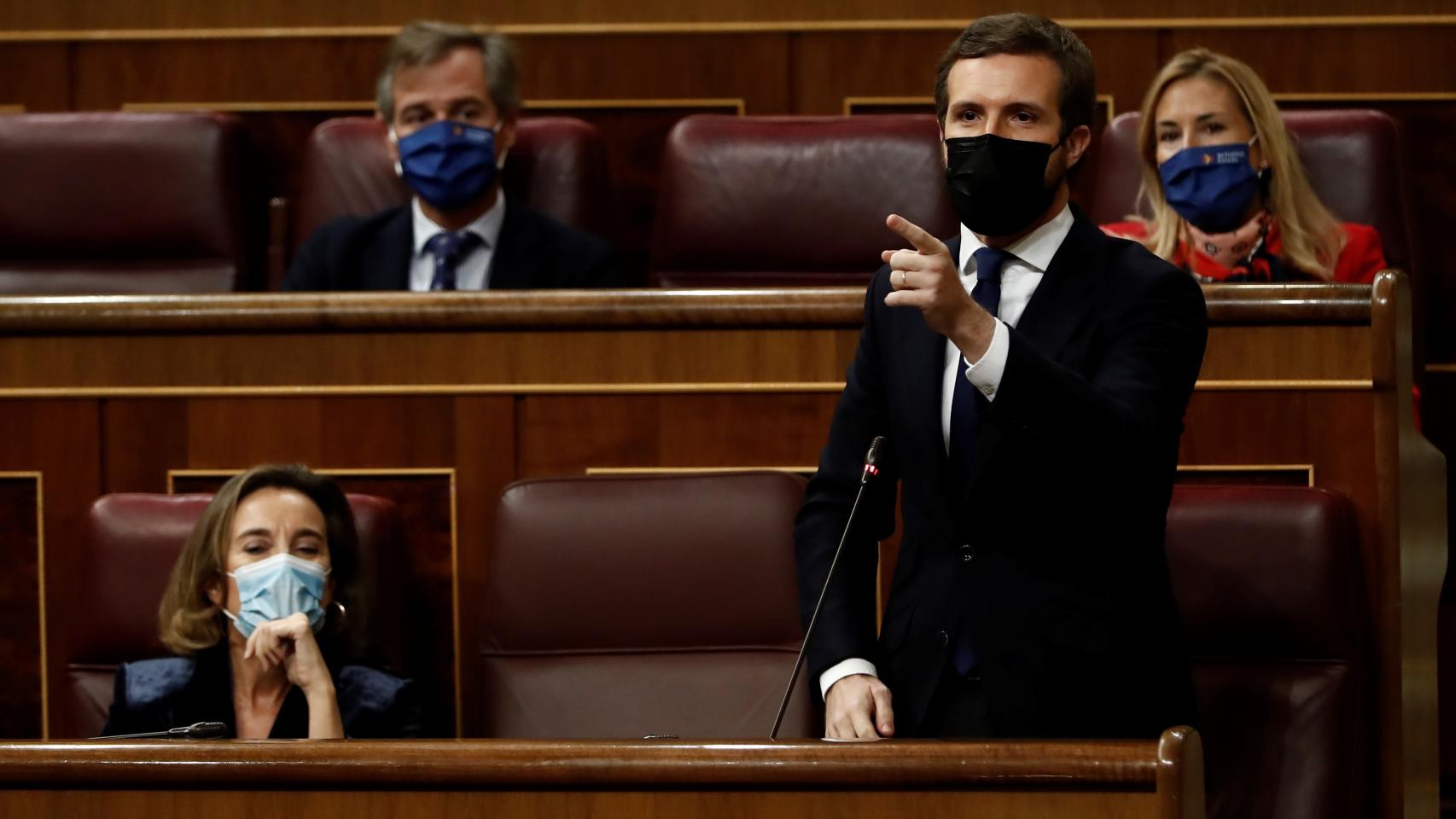 Pablo Casado, presidente del PP, en el Congreso de los Diputados.