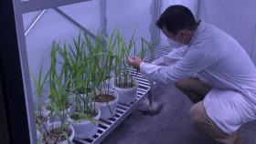 Uno de los químicos de Fertinagro Biotech trabajando en una de las pruebas de su laboratorio de I+D+i.