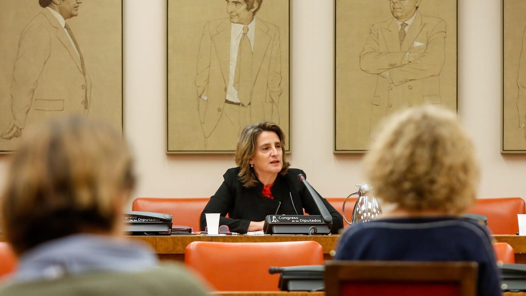 La ministra de Transición Ecológica, Teresa Ribera, en una comparecencia en el Congreso.