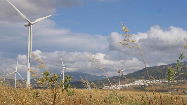 Parque eólico.