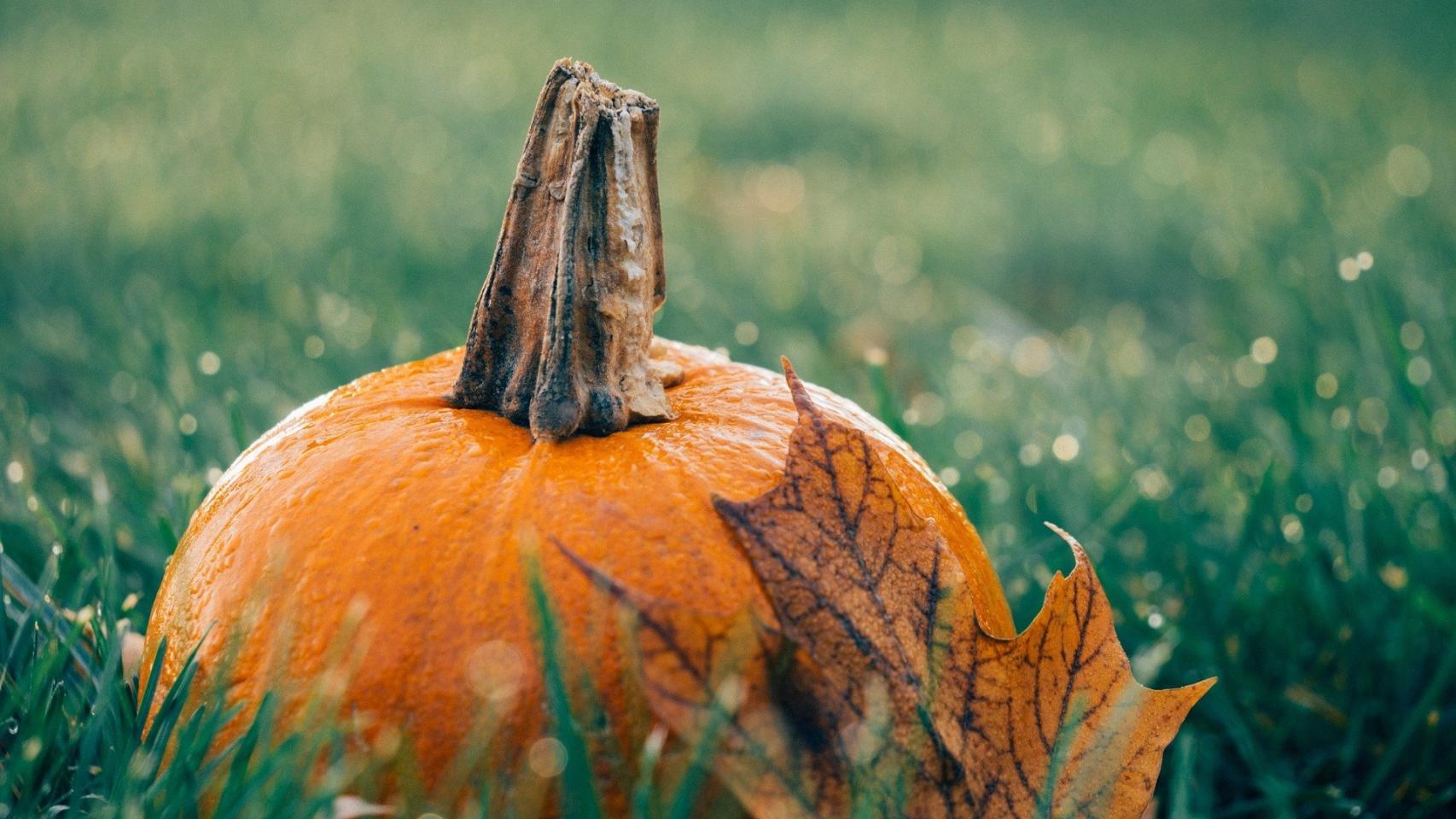 ¿Por qué celebramos Halloween en España?