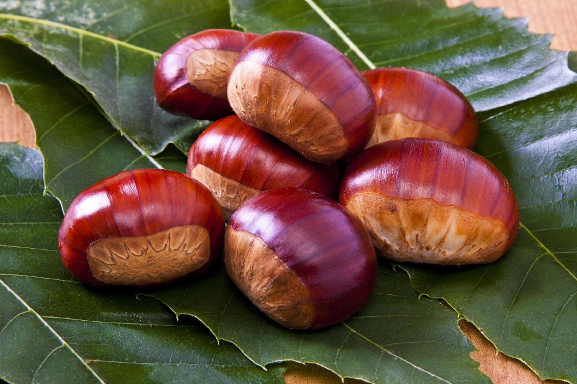 Varias castañas de Galicia.