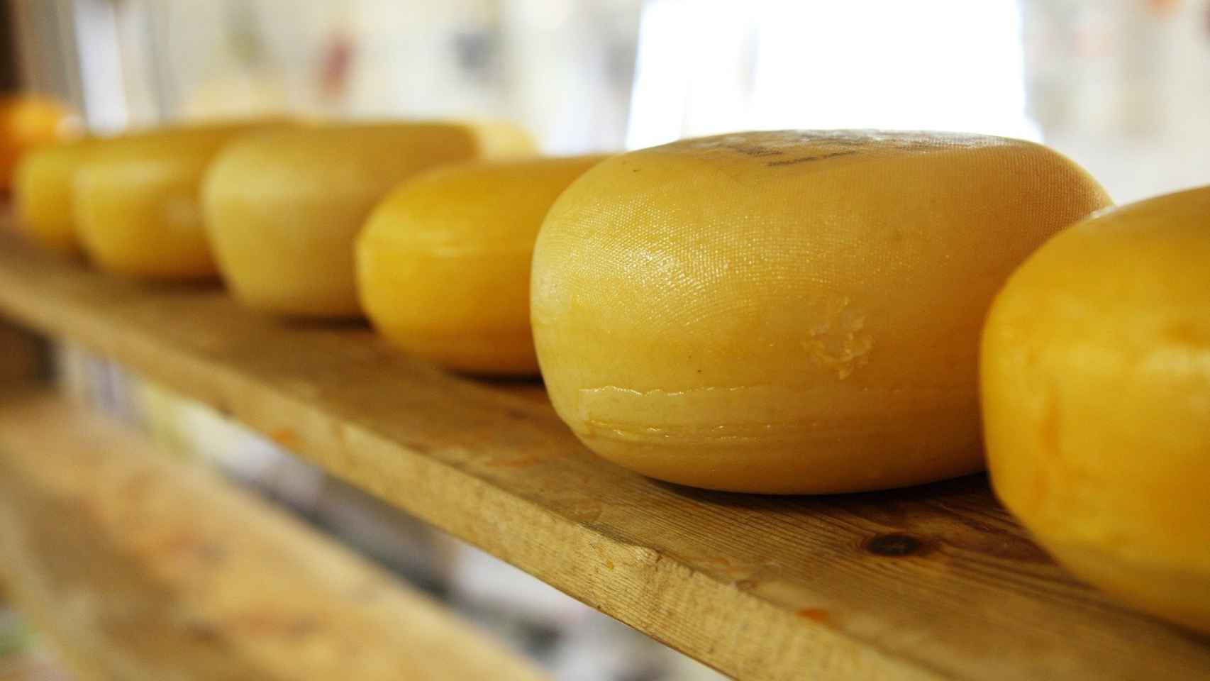 Te contamos todo sobre el queso Idiazábal, uno de los mejores