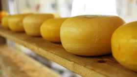 Te contamos todo sobre el queso Idiazábal, uno de los mejores