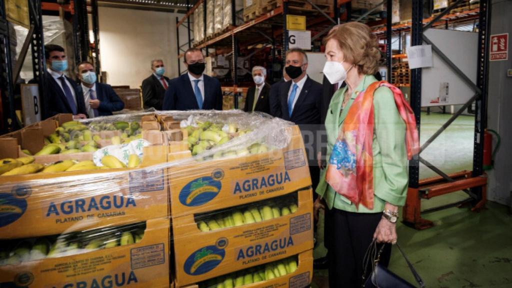 La reina emérita ha comprobado de primera mano la buena labor de los voluntarios.