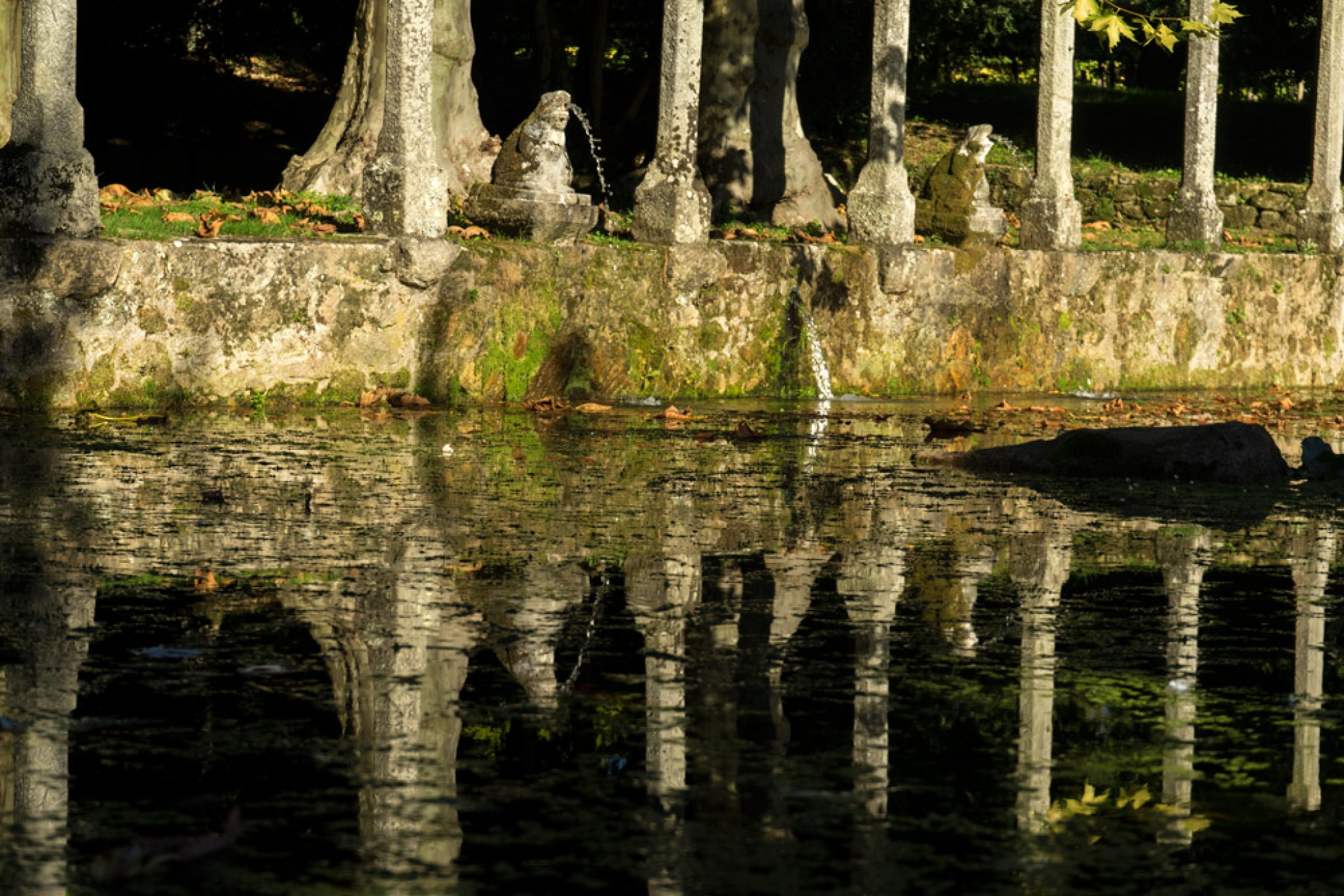 Estanque del Pazo de Rubianes. Foto: easygalicia