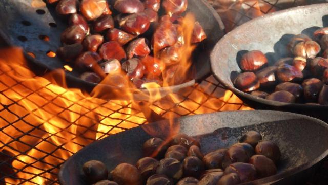 Varias castañas asándose al fuego.