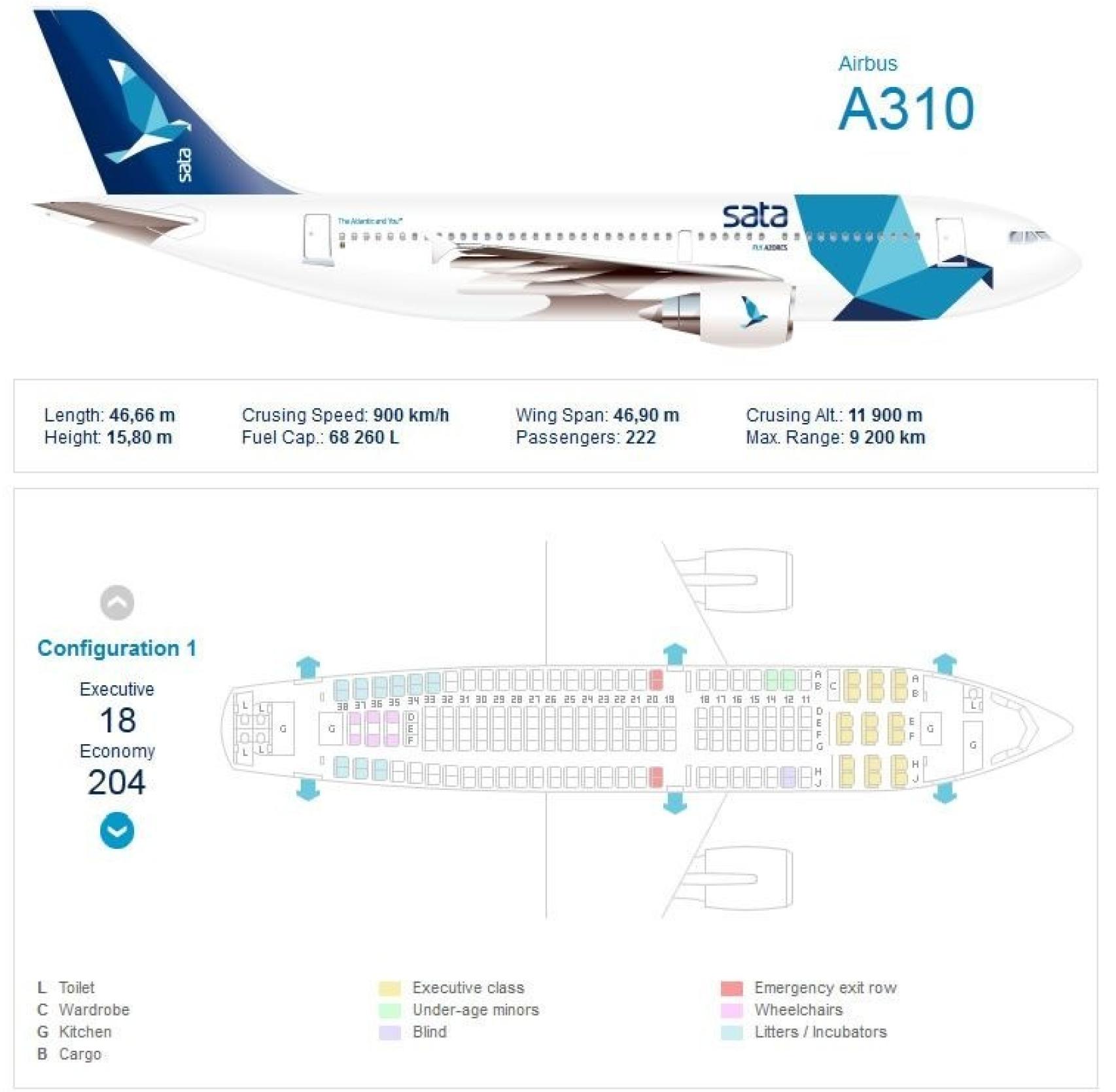 Detalles del Airbus 310