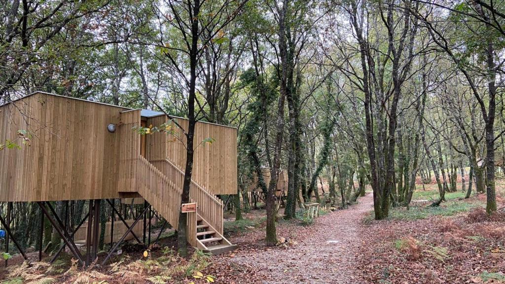 Imagen de una de las cabañas de Enoturismo María Manuela.