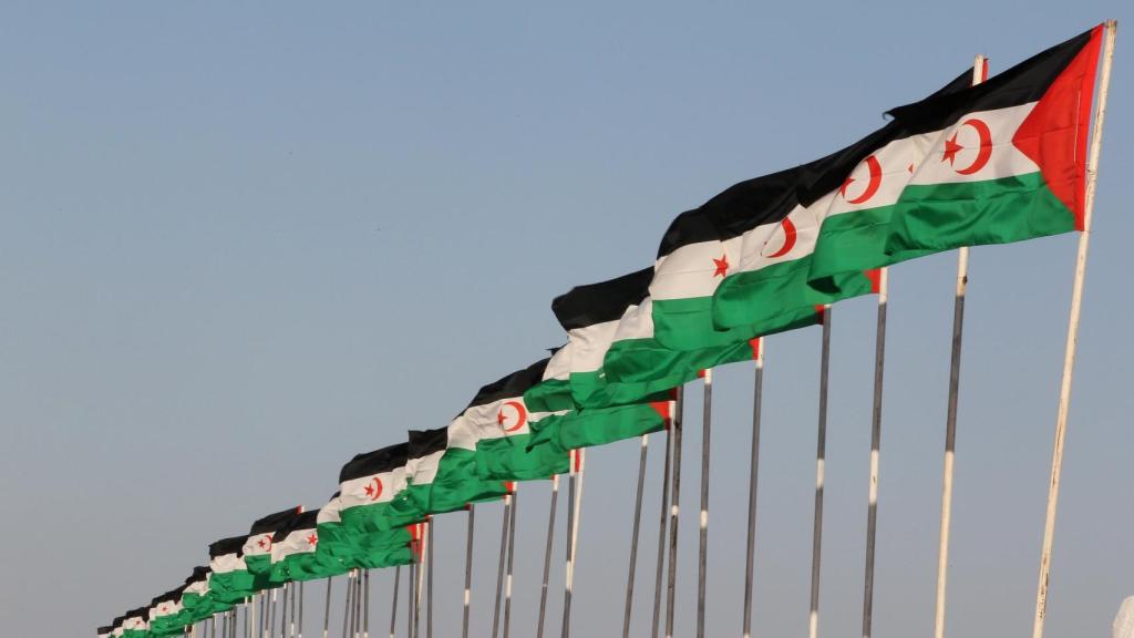 Banderas de la República Árabe Saharaui Democrática.