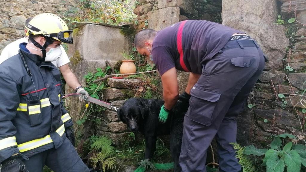 Un momento del rescate del perro.