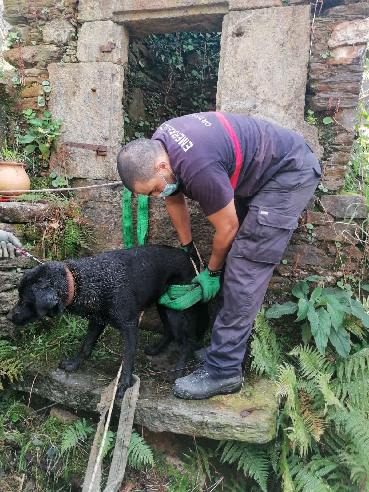 Un momento del rescate del perro en el pozo de Ortigueira (Concello de Ortigueira).