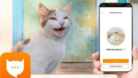 MeowTalk, la app que traduce maullidos.