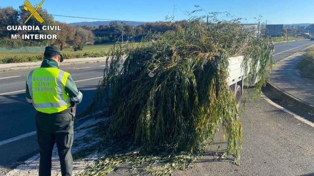 La furgoneta cargada con ramas de árboles sin sujeción.