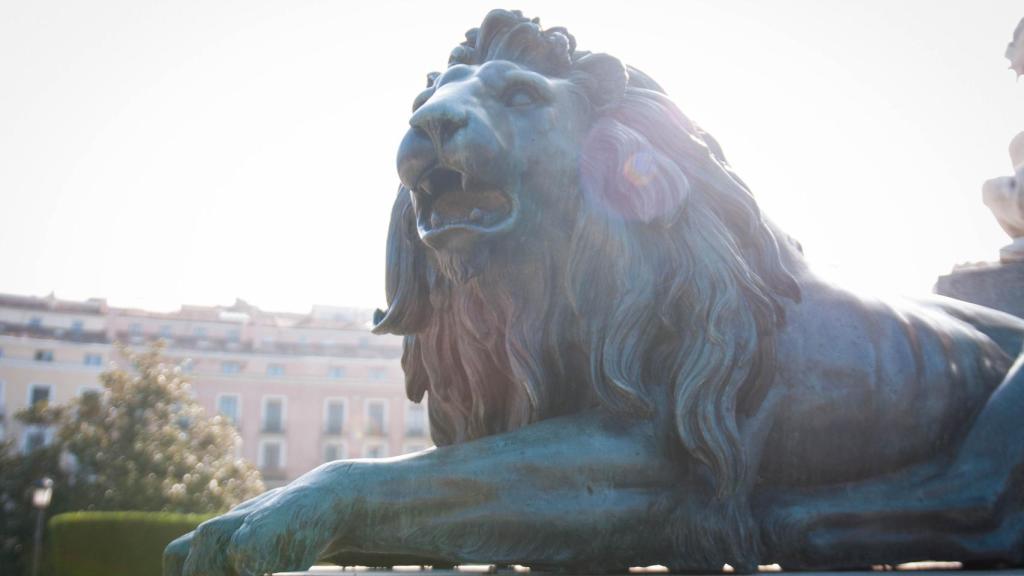 Madrid, ciudad de los leones: 10