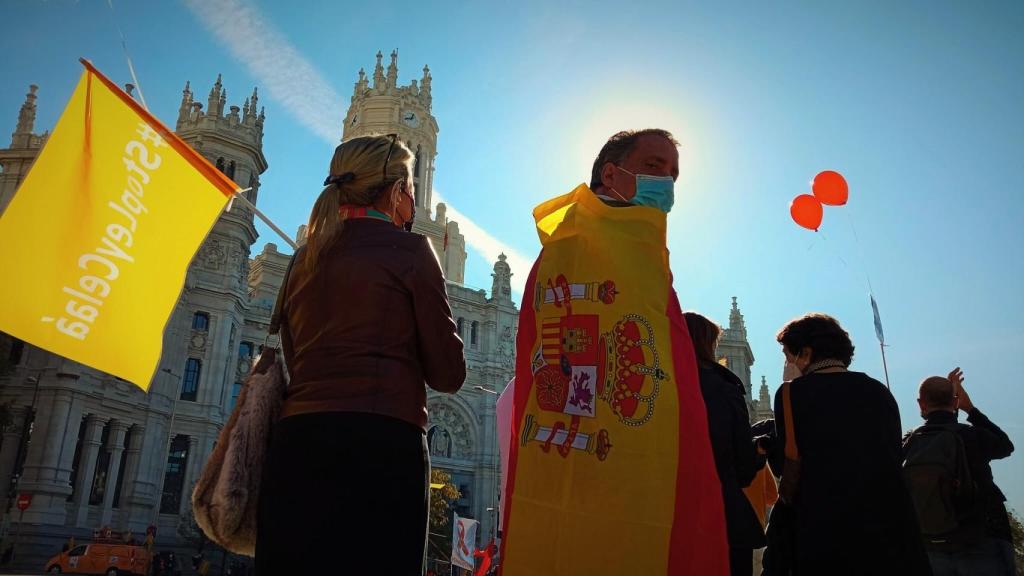 Varios manifestantes contra la Ley Celaá de Educación escuchan el manifiesto leído en la plaza de Cibeles (Madrid).