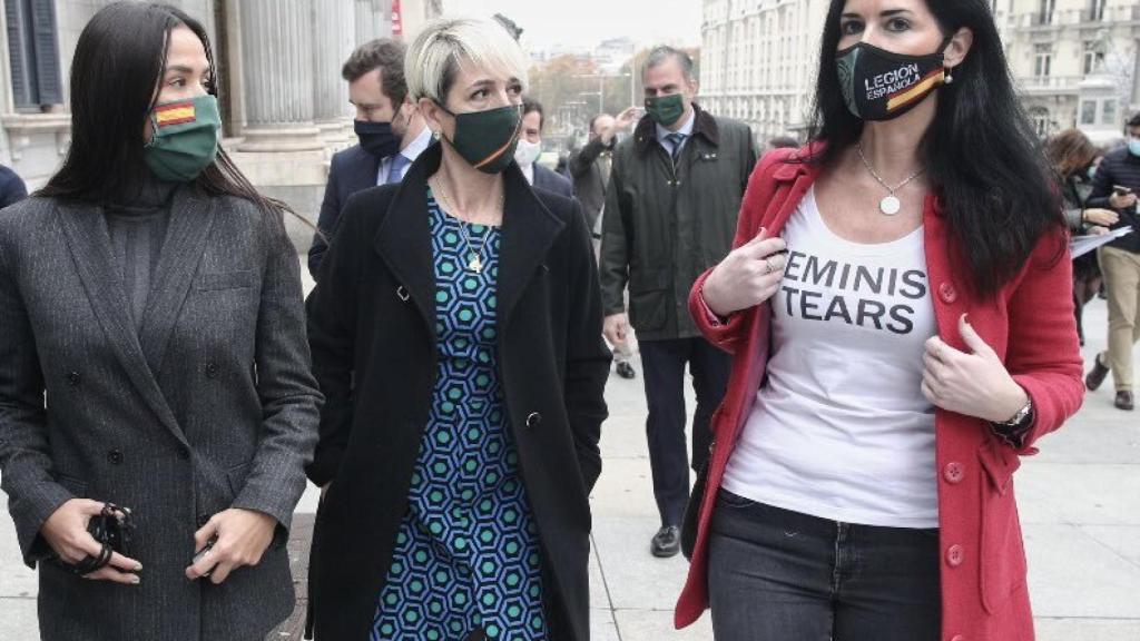 La portavoz de Vox en el Pacto contra la Violencia de género ha lucido esta camiseta hoy.