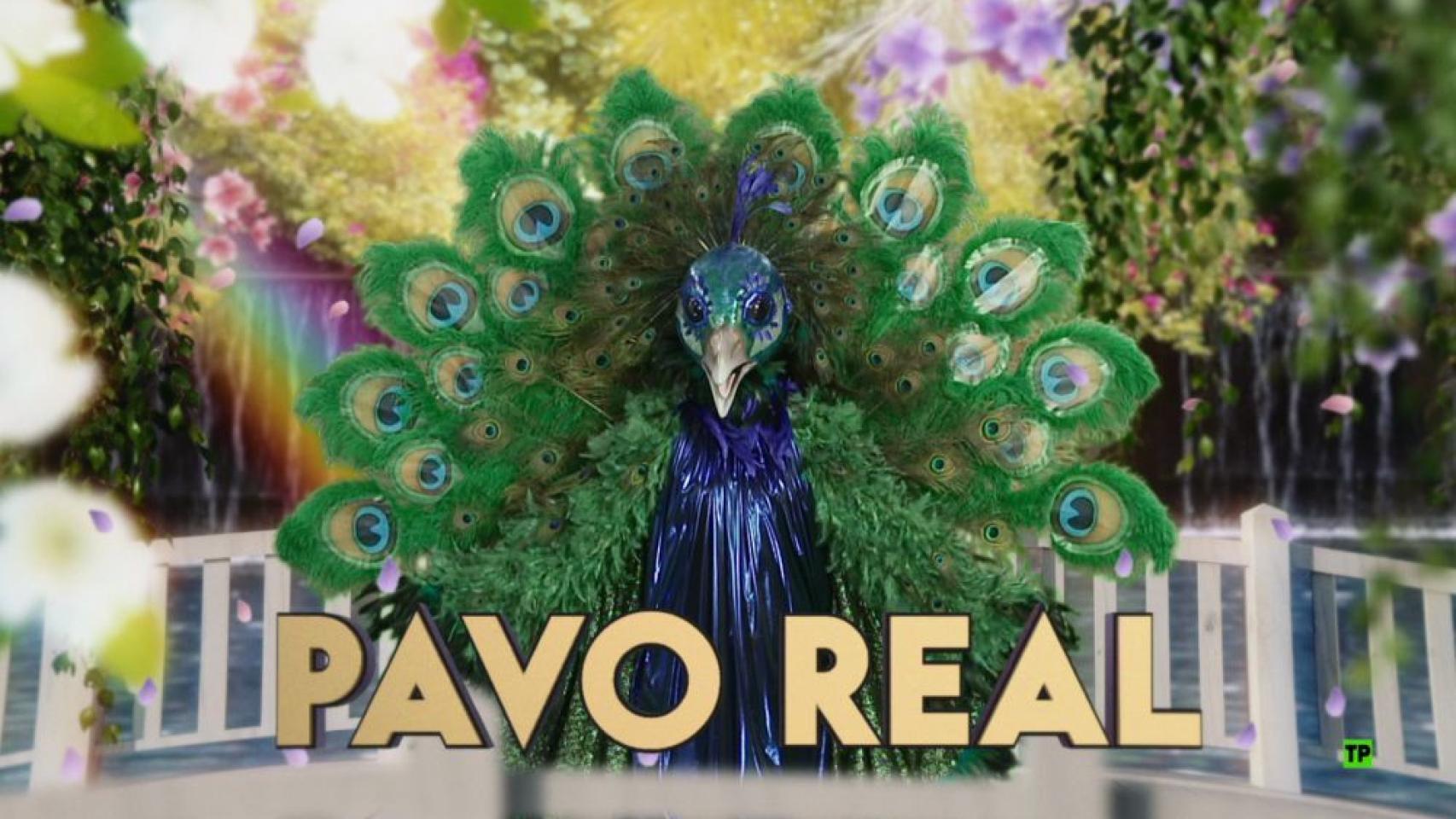 Pavo Real de 'Mask Singer'