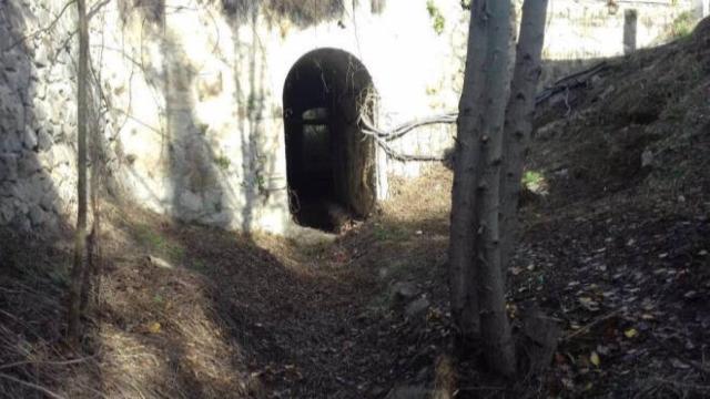 Limpieza vegetal en Toledo. Antes y después en la imagen de abajo