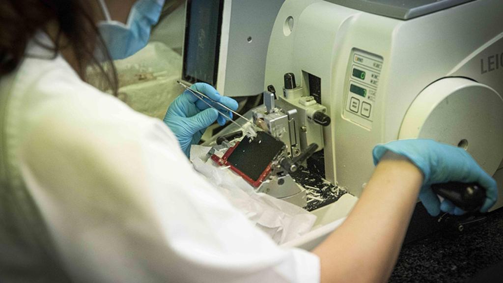 Una investigadora, en su laboratorio.