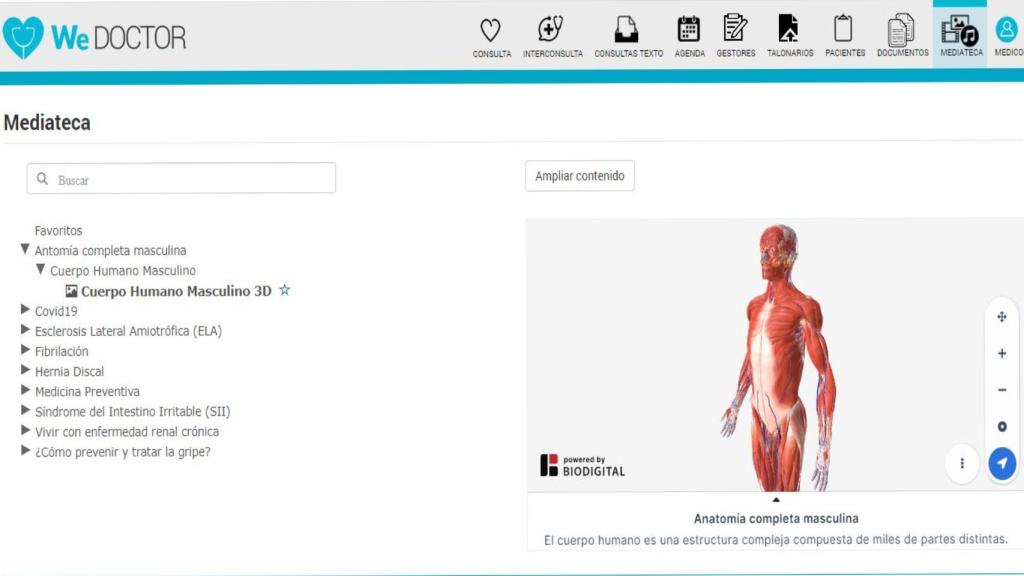 El cuerpo humano masculino en 3D.