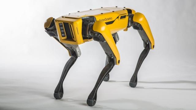 Boston Dynamics se ha caracterizado por sus robots cuadrúpedos.