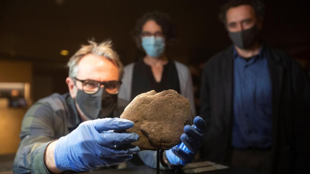 Una placa de piedra con grabados de diversas especies animales, de finales del Paleolitico Superior y una antigüedad de más de 11.700 años.