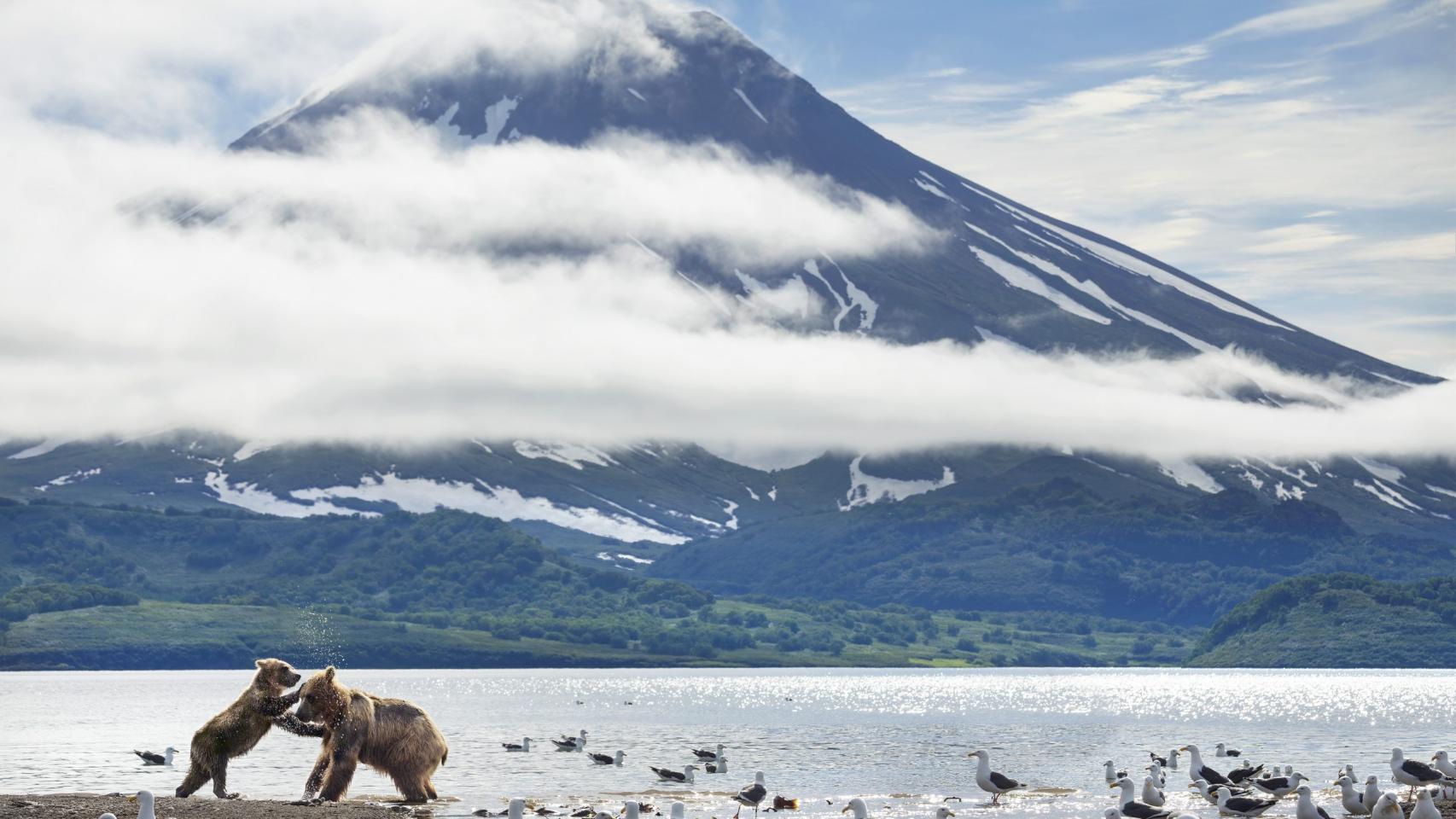 Sir David Attenborough pondrá voz a 'Un planeta perfecto' en Movistar+