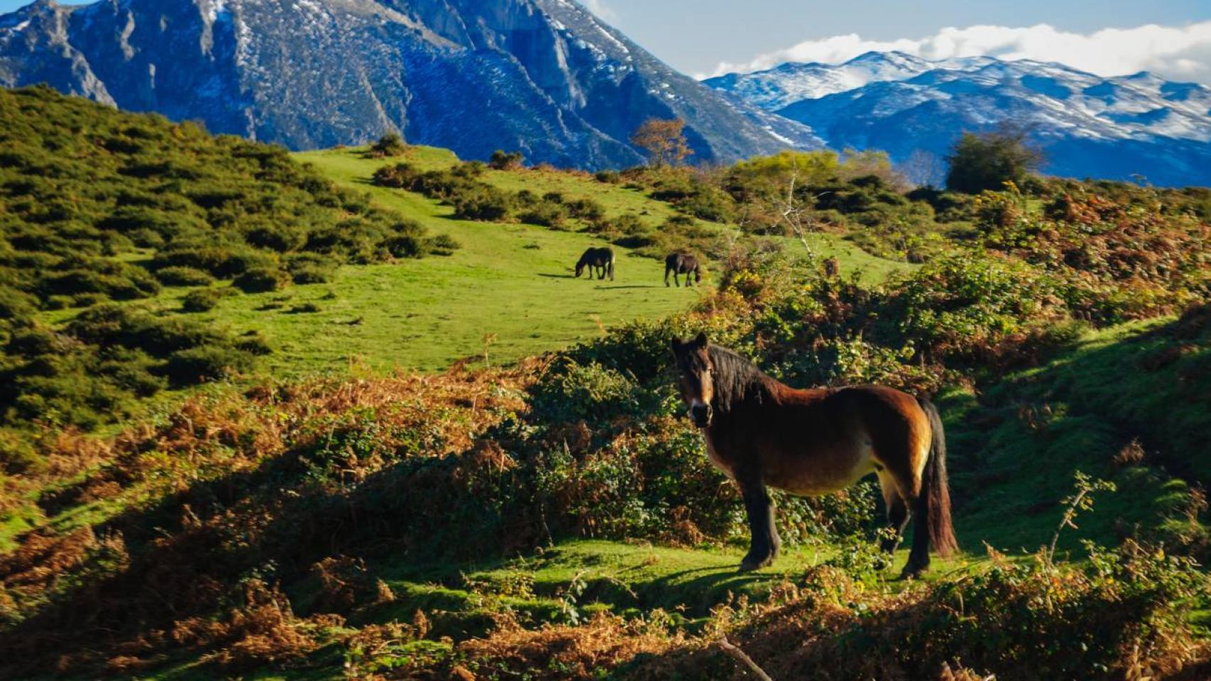 Puerto de Marabio, Teverga, Asturias.