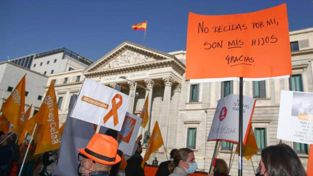 Una protesta de 'Más plurales' ante el Congreso de los Diputados