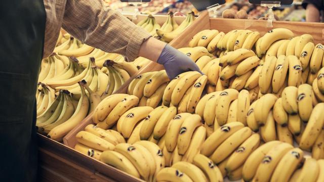 Un dependiente cogiendo plátanos de Canarias.