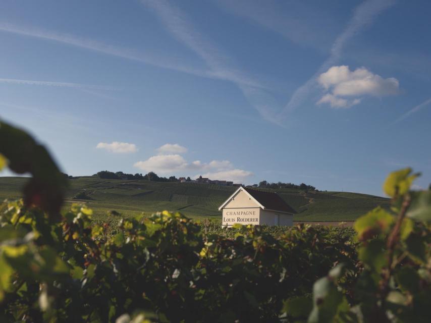 Louis Roederer, la Maison de Champagne más premiada del mundo.