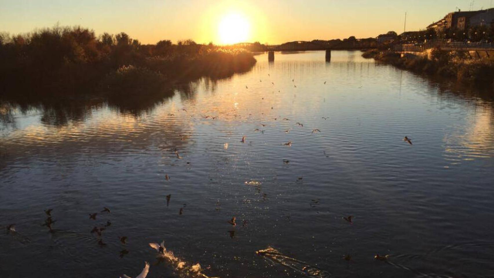 El río Tajo a su paso por Talavera de la Reina. Foto de archivo de E.C.