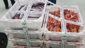 Investigado el patrón de un pesquero de A Coruña por extraer cigala de una zona prohibida