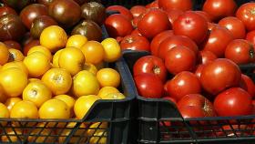 mercado tomates fruta