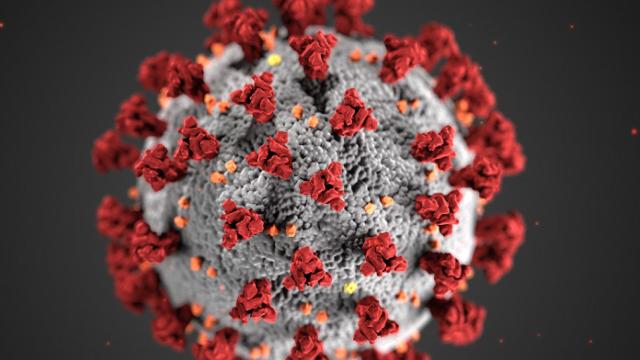 Sanchez Ron CDC Alissa Eckert, MSMI; Dan Higgins, MAMS