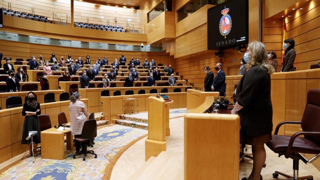 Imagen del pleno del Senado.