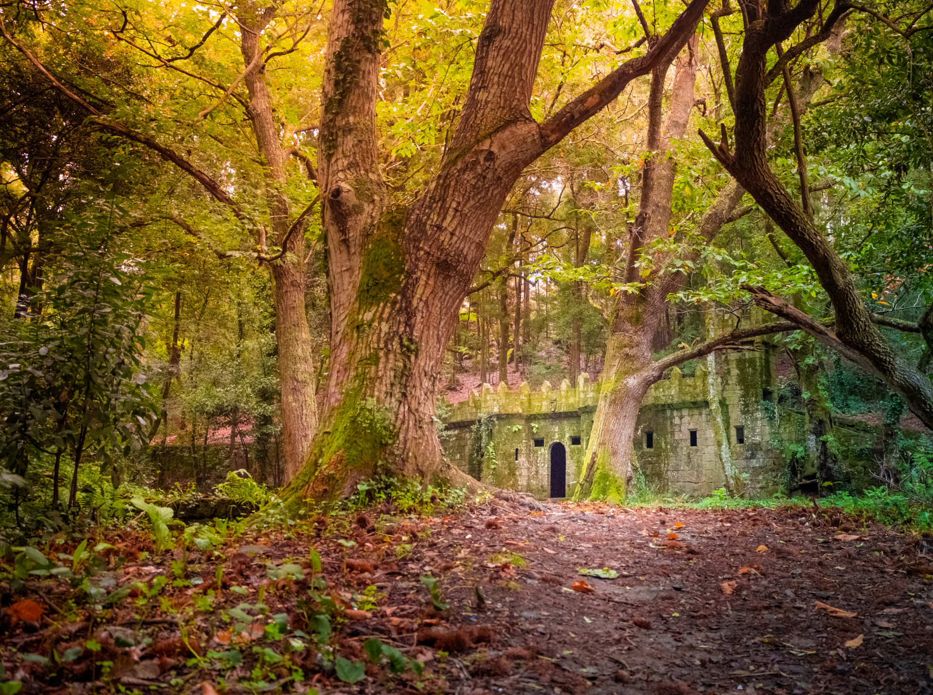 Panorámica Bosque de Aldán.  Foto: Shutterstock.